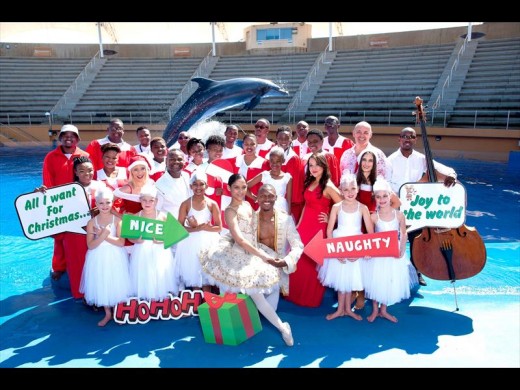 The Dolphins by Starlight cast is ready to celebrate with you.