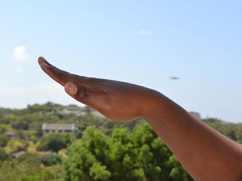 Make a wave and you'll go to Ballito.