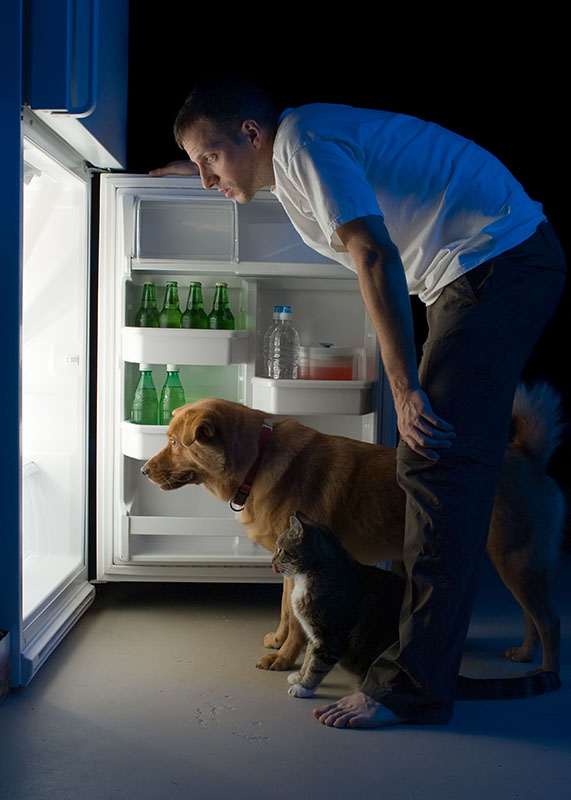 man.pets.fridge.stock
