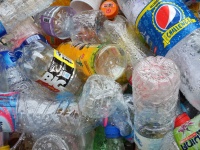 All those plastic bottles should be recycled.
