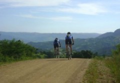 Holla Trails.