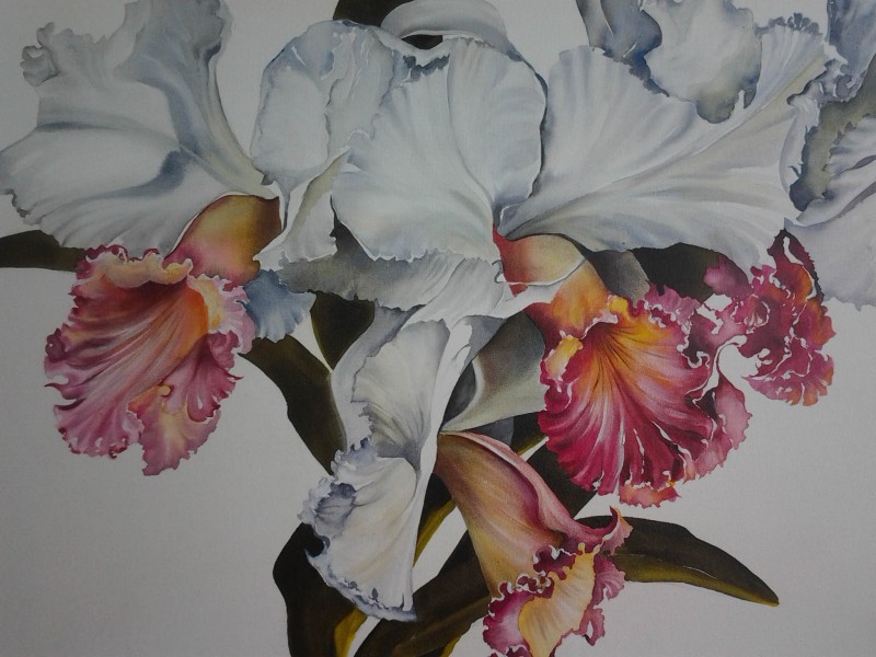 North Coast artists1