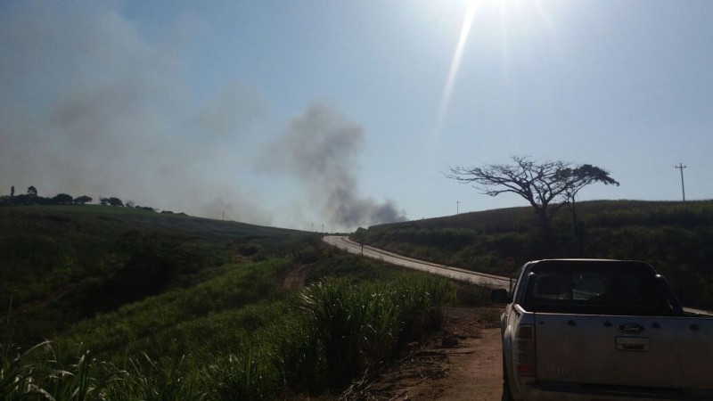 Smoke rising as Glendale protesers start torching sugar cane.
