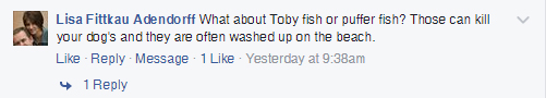 facebook comment toby fish