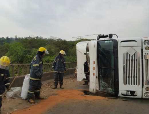 acc log truck 4