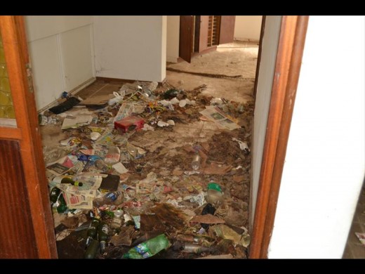 Litter has become the carpet of the floor.