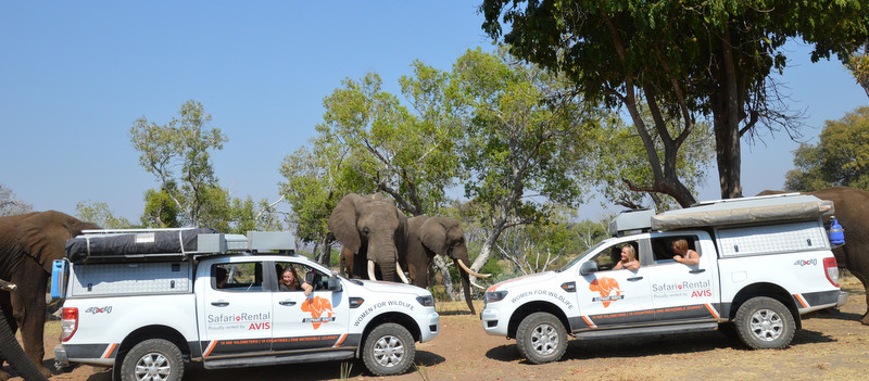 ELEPHANT IGNITE TEAM VEHICLES WITH HERD IN LIVINGSTONE. . DSC_0023 (117)