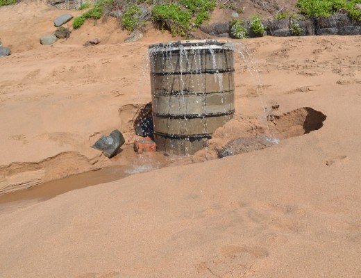 Wilhards beach3 (Medium)