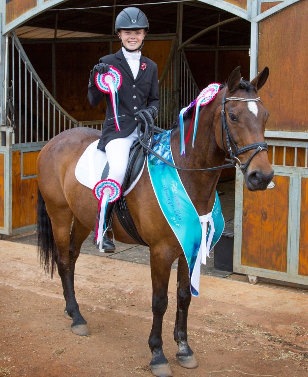 sport.horse.equestrian1. (Medium)