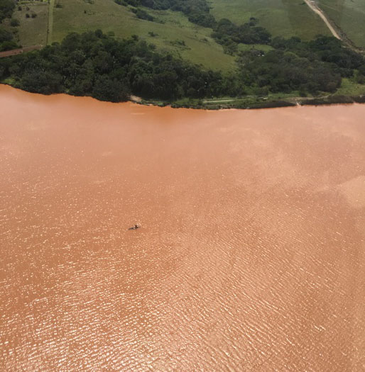 poachingtugela_17674_tn