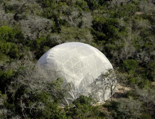 The Butterfly Dome is the perfect environment for the gentle creatures.