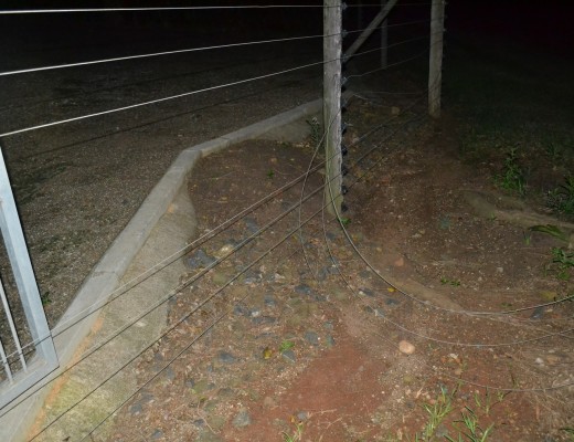 The attackers cut the electric fence to gain access to the property.