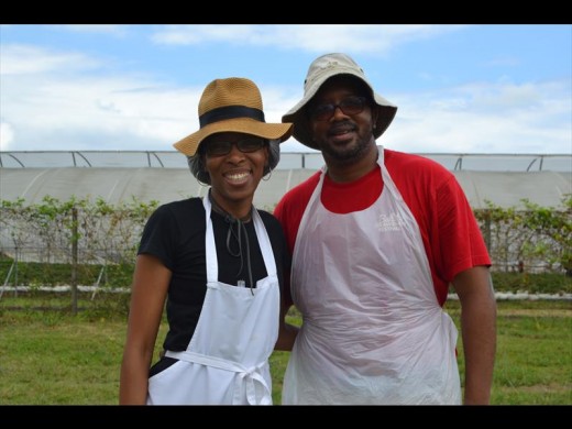 Owners of the strawberry farm, Yoliswa and Xolani Gumede.