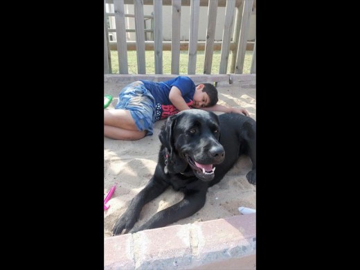 Nicholas Zhang and Lego having a rest in the sandpit before hitting the trampoline again.