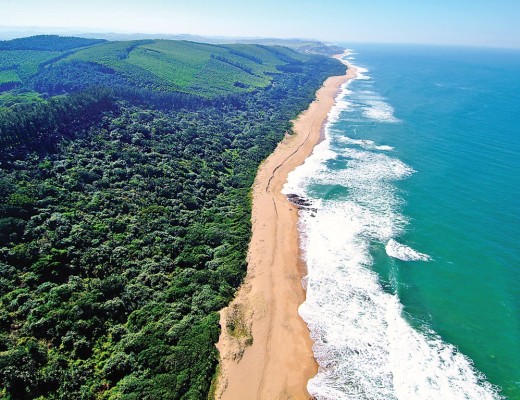The pristine coastline at Blythedale streches as far as the eye can see.