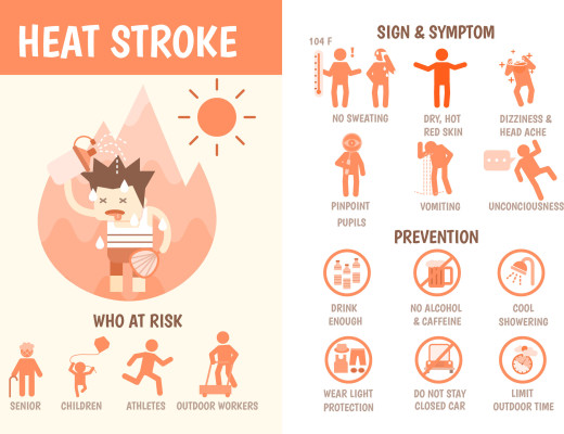 40508657 - health care infographics about heat stroke risk sign and symptom and prevention