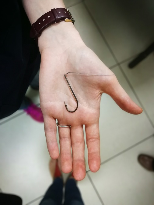 Feral cat rescued from gruesome fish hook injury - Salt Rock | North ...