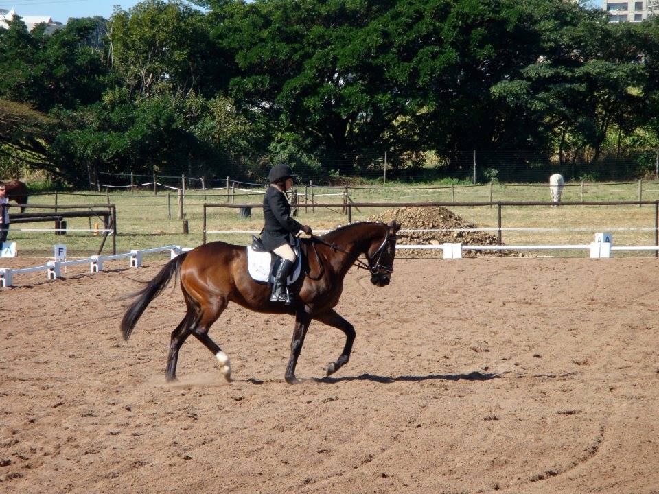 Redwoods Riding Centre