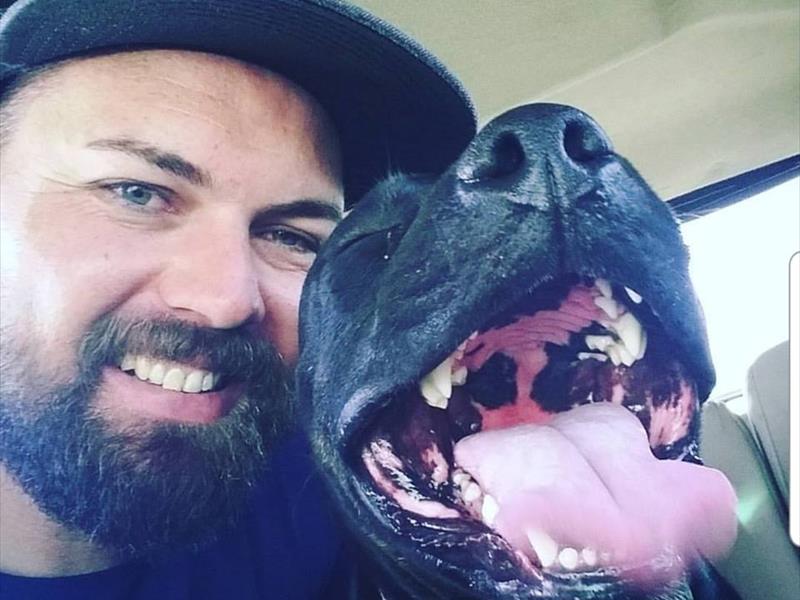 The best pet lookalikes on the North Coast North Coast Courier