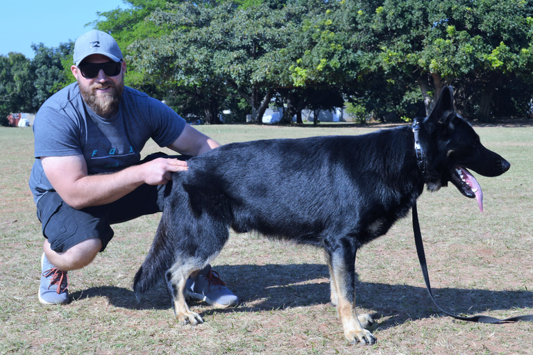 The fine art of ethical dog breeding North Coast Courier