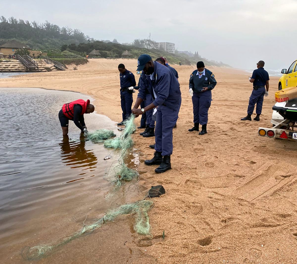200 metres of illegal nets fished out of La Mercy lagoon | North Coast ...
