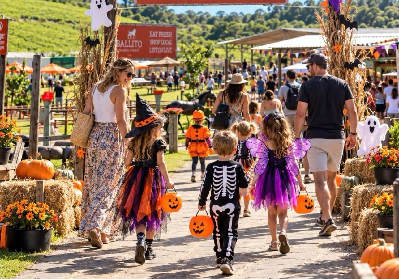 What’s on: North Coast events to look out for over the next few weeks