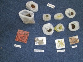 Spices.