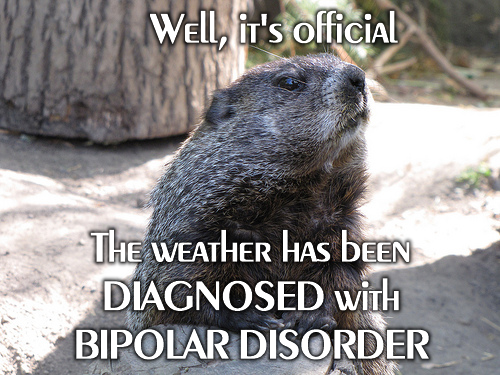 groundhog-by-probabilistic-modified