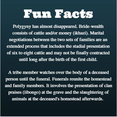 fun facts ndebele