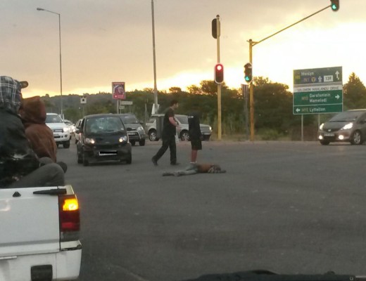 pedestrian accident 2