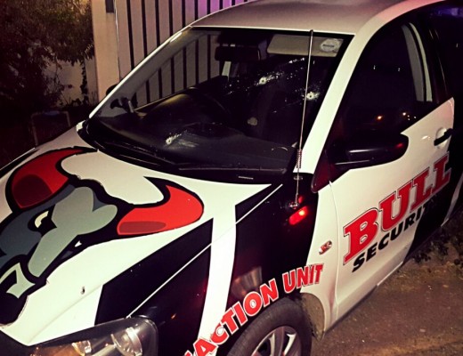 Bull6