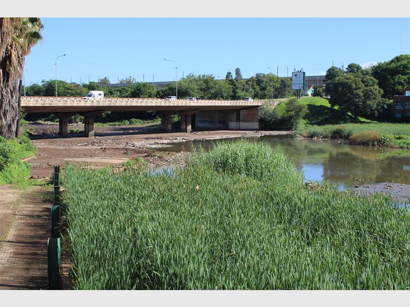 Good progress being made at Centurion lake area