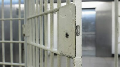 Woman (57) sentenced to 10 years for theft at north shopping centre