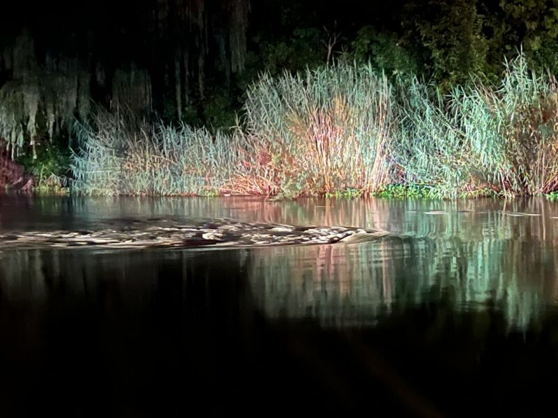 Search on after car 'swept by water into North river'