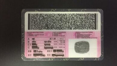 License centres to remain operational as RTMC tackles festive season lawlessness
