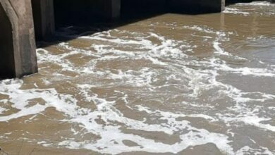 Young man drowns near Bronkhorstspruit