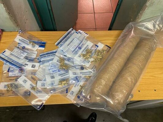 Pretoria CBD raids lead to 43 arrests