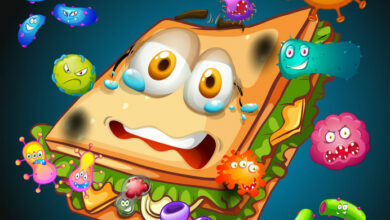 How to protect your child from foodborne disease