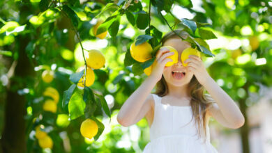 Plant your own "first aid kit" to boost your child's immunity