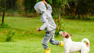 Six reasons why your child should have a pet