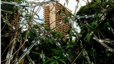 Eradicate Tshwane hostels and create plan to leverage CBD abandoned buildings