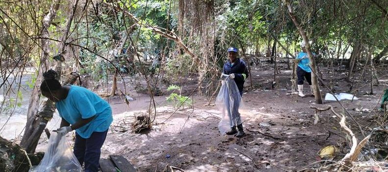 Hennops Revival clean up river area in Clubview before more flooding occurs