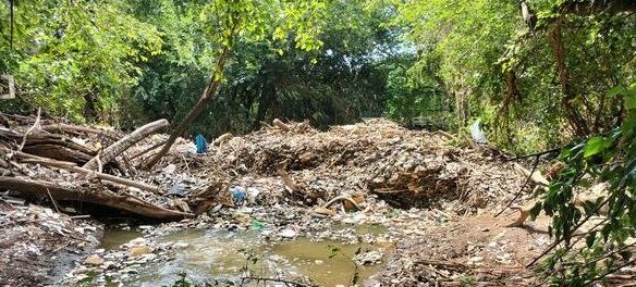Hennops Revival clean up river area in Clubview before more flooding occurs