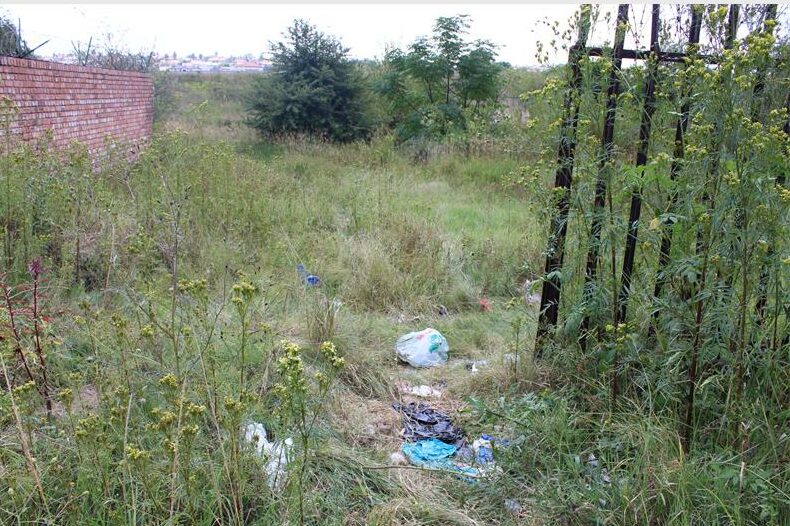 State of wetland area in The Reeds a concern for residents