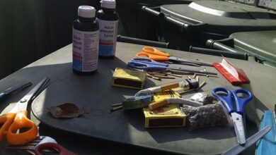 Search leads to finding drugs and dangerous weapons on Mams learners