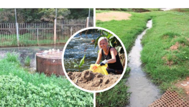 Sewage leak repaired at Zwartkop golf course