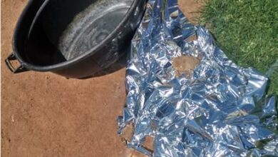 Newborn baby’s body found mutilated