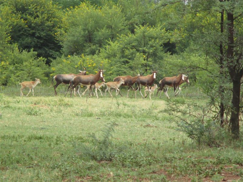 Bishops Bird Nature Area committed to conservation