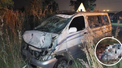 Tshwane investigating after a hippo was killed by a car in Centurion