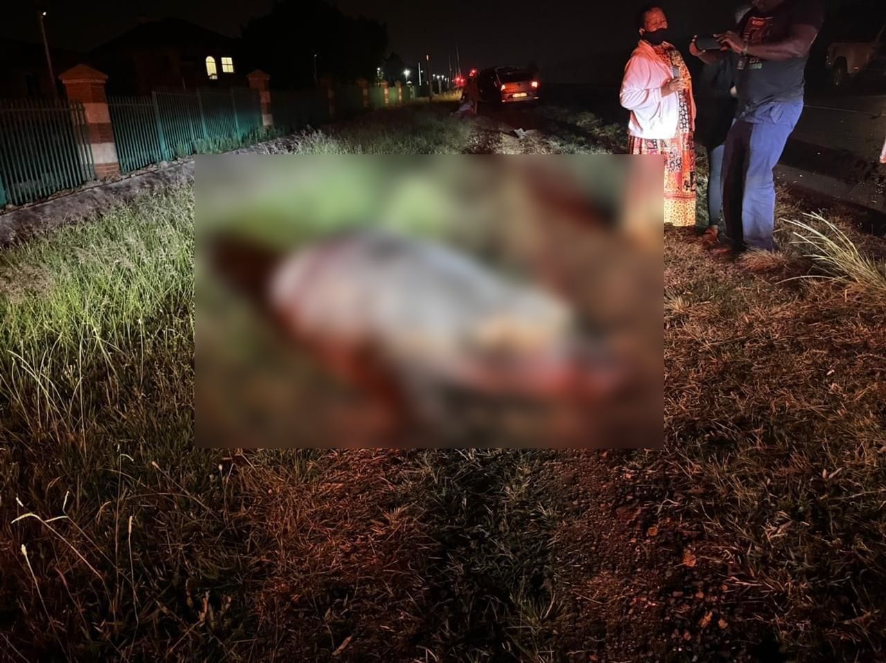 Tshwane investigating after a hippo was killed by a car in Centurion